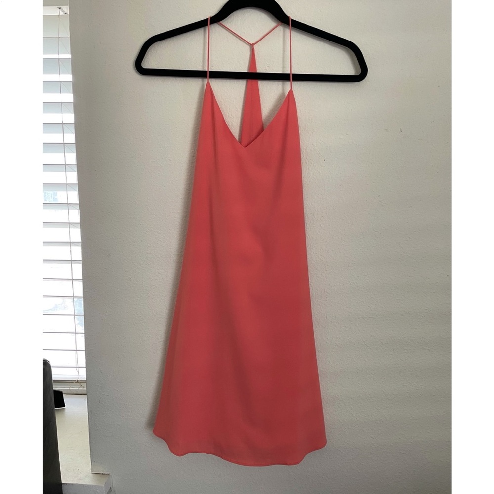 Naked Zebra Dress. Size Small Peach Dress.
